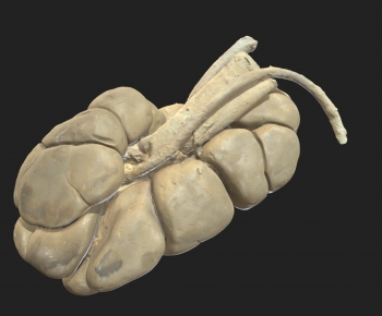 Modern Medical Equipment-ID:641827113