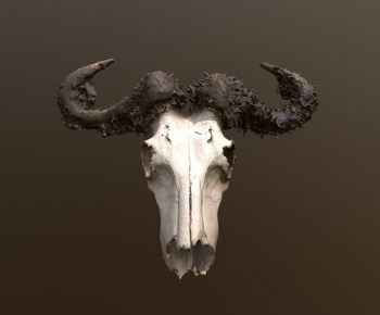 Modern Animal-ID:160729895