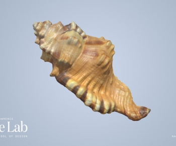 Modern Aquatic Product-ID:635379082