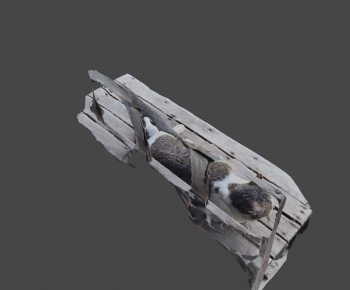 Modern Animal Cat-ID:392697108