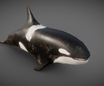 Modern Aquatic Animals-ID:929150618