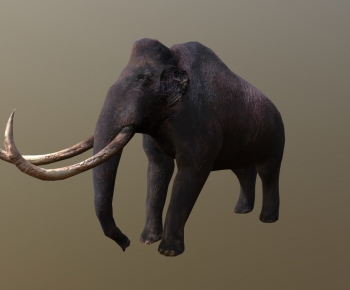 Modern Mammal-ID:611510361