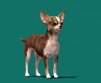 Modern Animal Dog-ID:588521966