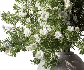 Modern Potted Green Plant-ID:755702028