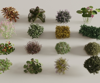 Modern Shrubbery-ID:389417899