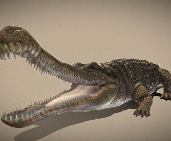 Modern Reptile-ID:752334127