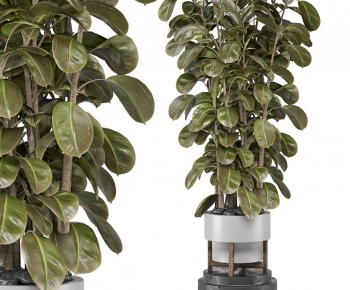 Modern Ground Green Plant Potted Plants-ID:743556984