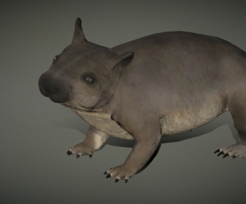 Modern Mammal-ID:101079976