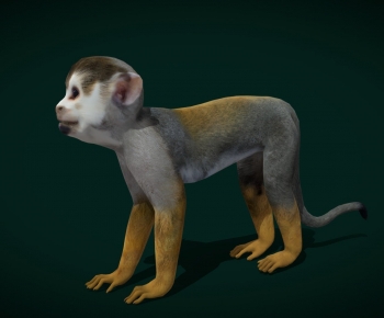 Modern Mammal-ID:497562894