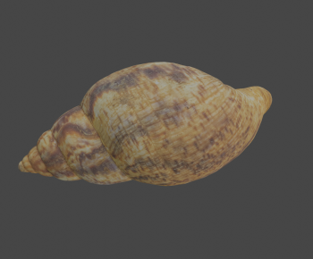 Modern Aquatic Product-ID:357147932