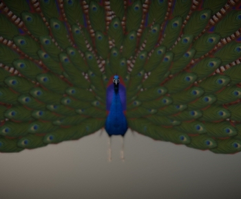 Modern Animal-ID:754475125