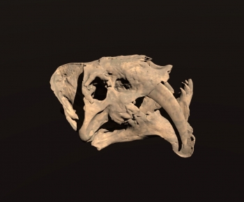 Modern Animal-ID:832617042