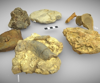 Modern Other-ID:982851987