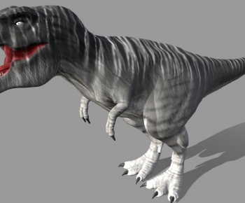 Modern Other Animals-ID:618797066