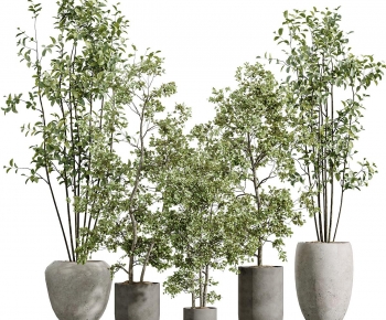 Modern Ground Green Plant Potted Plants-ID:287085065