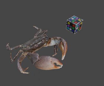 Modern Aquatic Animals-ID:275465018