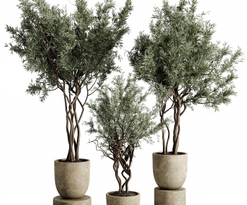 Modern Ground Green Plant Potted Plants-ID:248967893