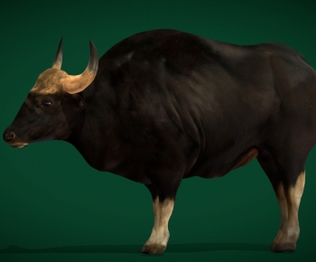 Modern Mammal-ID:497890956