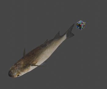 Modern Aquatic Animals-ID:979862931