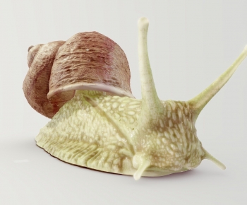 Modern Reptile-ID:679034958