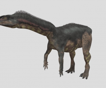 Modern Other Animals-ID:116060971