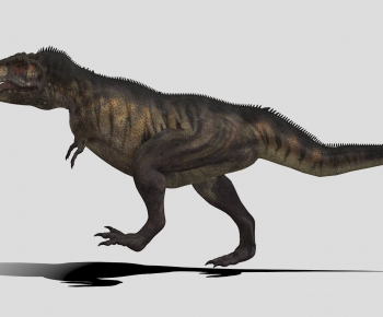 Modern Other Animals-ID:333266973