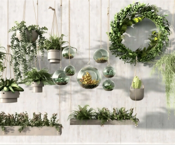 Modern Chlorophytum Comosum-ID:567373041