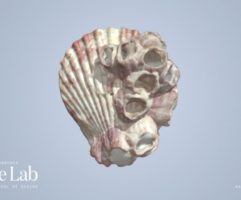 Modern Aquatic Animals-ID:452558046