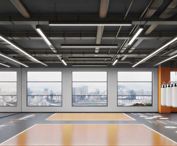 Modern Gym-ID:908179045