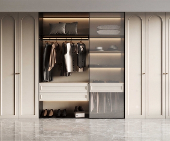 Modern Clothes Storage Area-ID:111948013