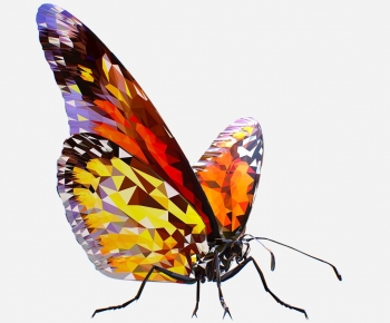 Modern Flying Animals-ID:548078062