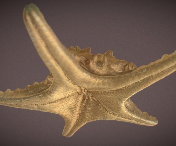 Modern Aquatic Animals-ID:100650826