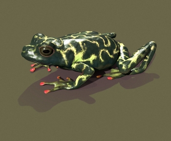 Modern Reptile-ID:810287951