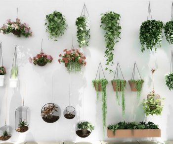 Modern Potted Green Plant-ID:173202048