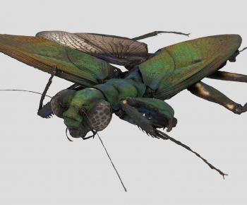 Modern Robot-ID:884682894