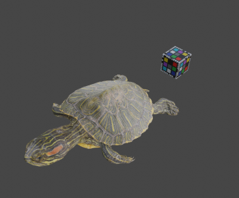 Modern Animal-ID:465370894