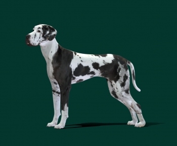 Modern Animal-ID:828855043