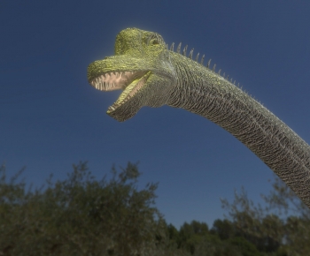 Modern Animal-ID:296802044