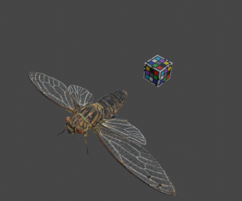 Modern Flying Animals-ID:526748902