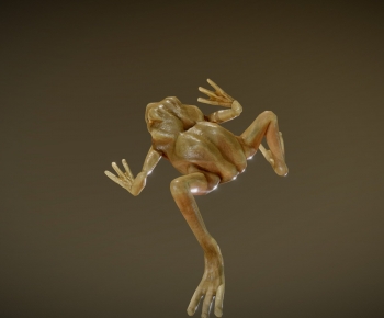 Modern Aquatic Animals-ID:434643987