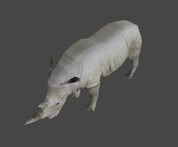 Modern Other Animals-ID:298960921