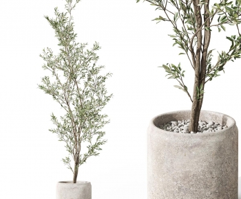 Modern Ground Green Plant Potted Plants-ID:576210989