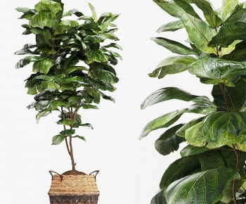 Modern Ground Green Plant Potted Plants-ID:757766014