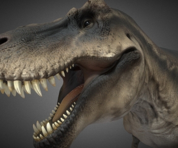 Modern Other Animals-ID:186638121