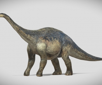 Modern Other Animals-ID:663491966