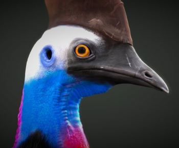 Modern Animal-ID:612586029