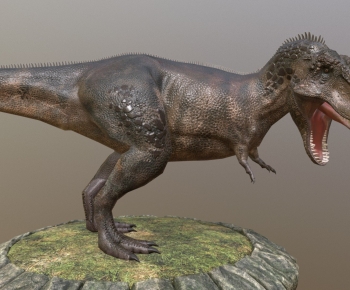 Modern Other Animals-ID:967278007