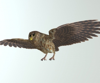 Modern Animal-ID:238090996