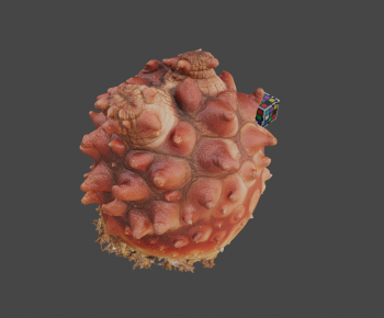 Modern Aquatic Animals-ID:484004975