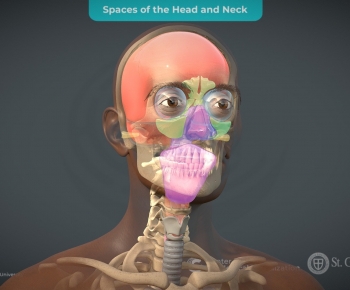 Modern Robot-ID:490612033